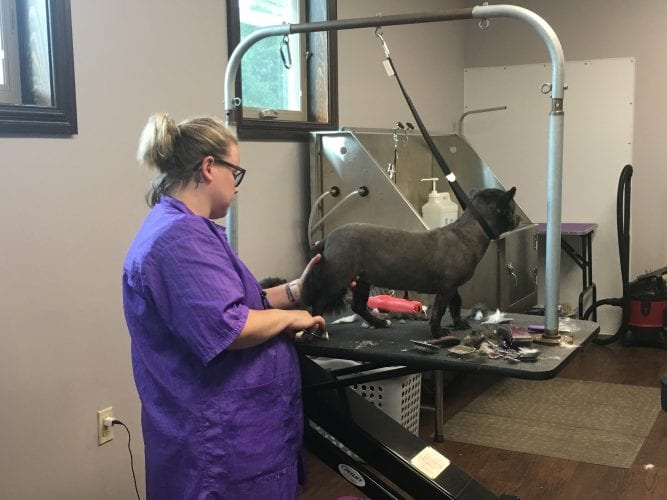 Wolf Run Veterinary Clinic opens new facility, services News, Sports